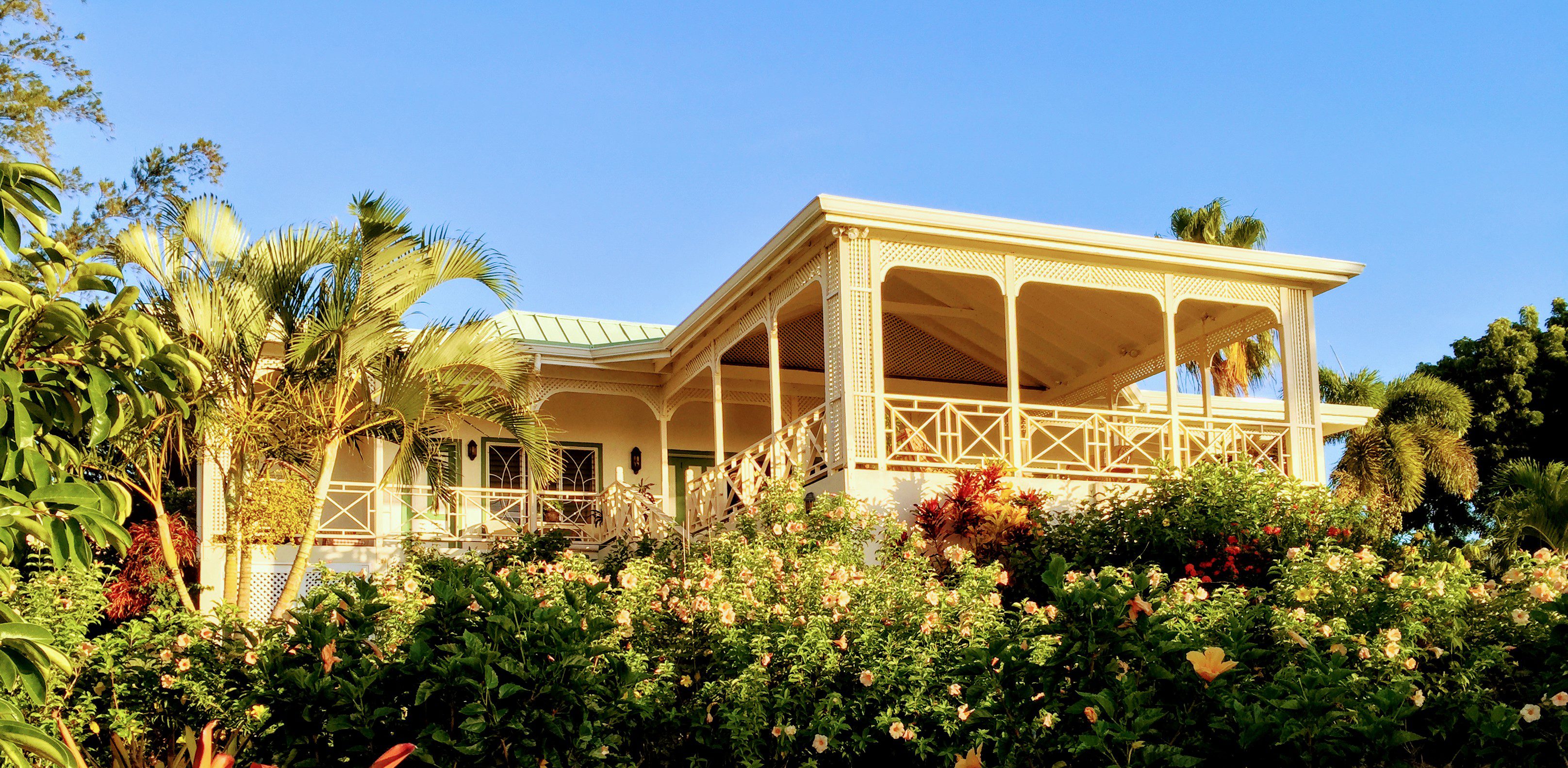 MH Veranda Garden3 Hill Rise House Nevis